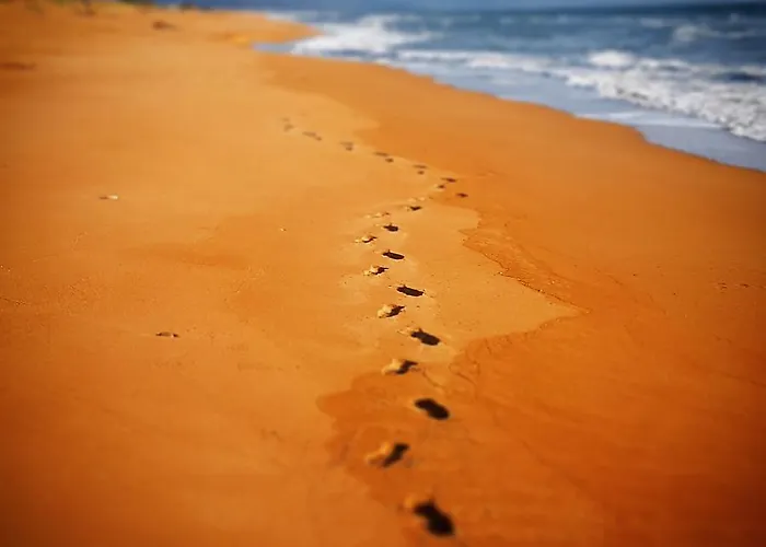 Szálloda Ostria Kakovatos Zaháro